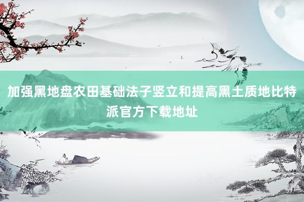 加强黑地盘农田基础法子竖立和提高黑土质地比特派官方下载地址