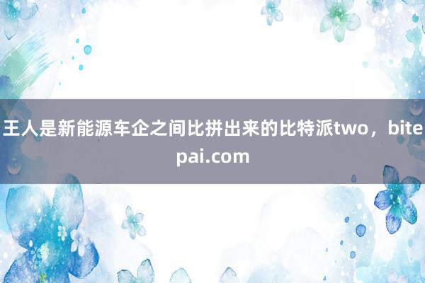 王人是新能源车企之间比拼出来的比特派two，bitepai.com