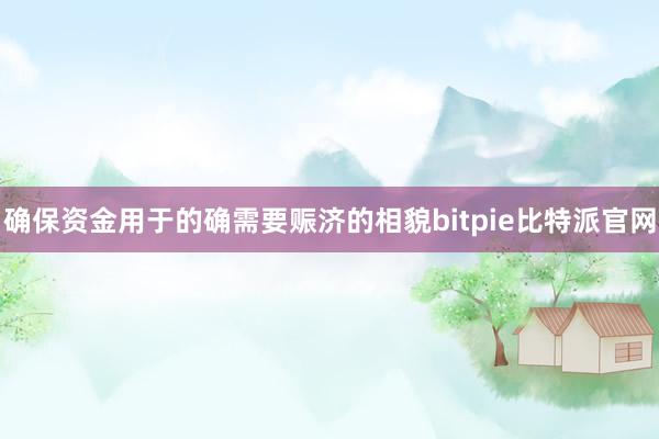 确保资金用于的确需要赈济的相貌bitpie比特派官网