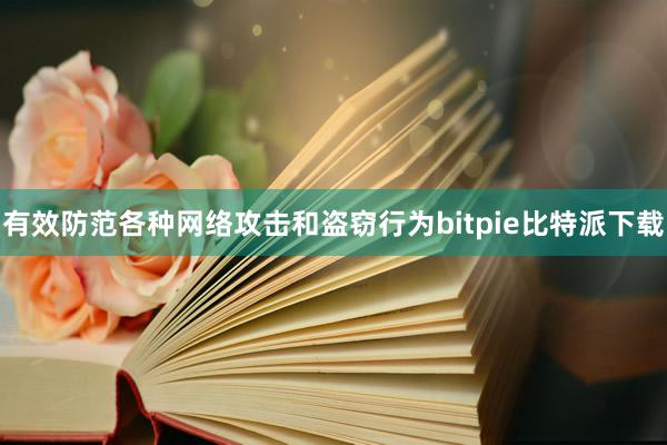 有效防范各种网络攻击和盗窃行为bitpie比特派下载