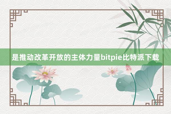 是推动改革开放的主体力量bitpie比特派下载