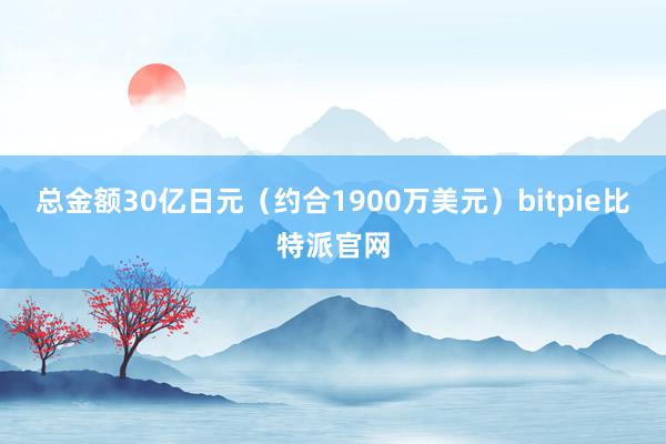 总金额30亿日元（约合1900万美元）bitpie比特派官网