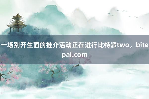 一场别开生面的推介活动正在进行比特派two，bitepai.com