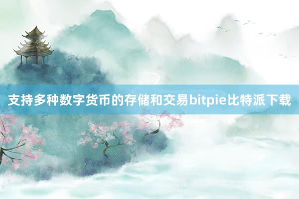 支持多种数字货币的存储和交易bitpie比特派下载