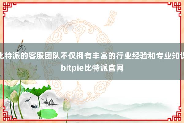 比特派的客服团队不仅拥有丰富的行业经验和专业知识bitpie比特派官网