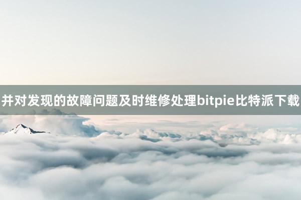 并对发现的故障问题及时维修处理bitpie比特派下载