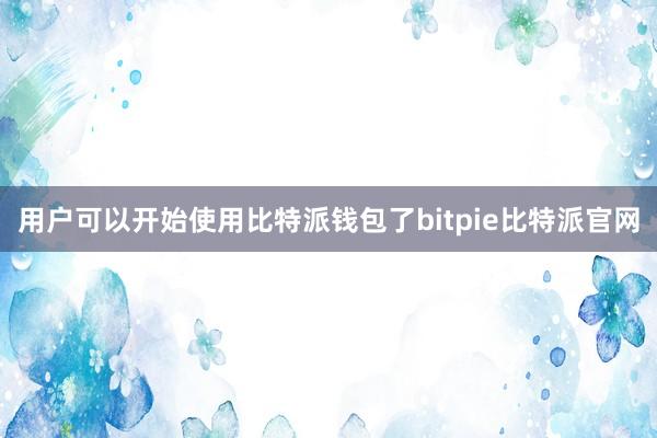 用户可以开始使用比特派钱包了bitpie比特派官网