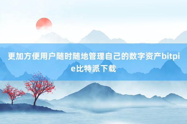 更加方便用户随时随地管理自己的数字资产bitpie比特派下载