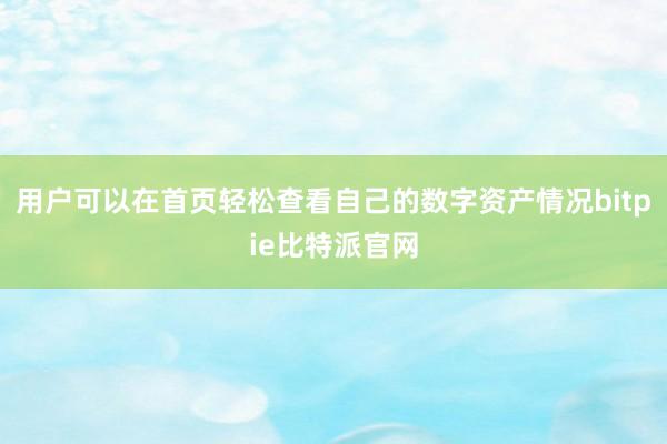 用户可以在首页轻松查看自己的数字资产情况bitpie比特派官网