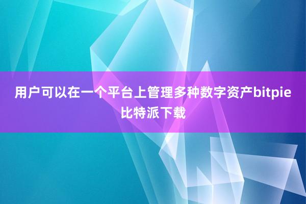 用户可以在一个平台上管理多种数字资产bitpie比特派下载