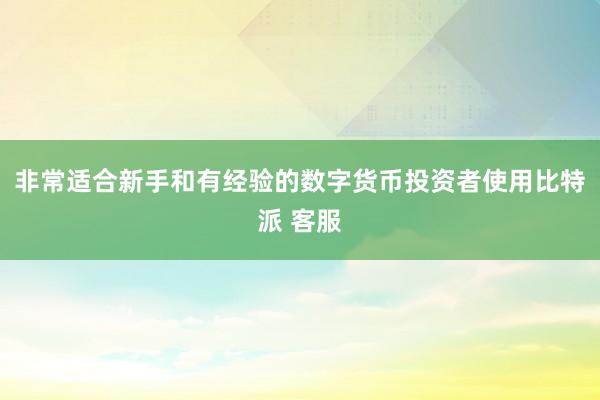 非常适合新手和有经验的数字货币投资者使用比特派 客服