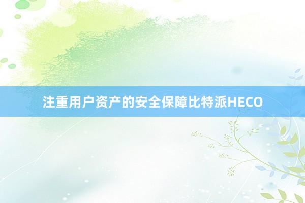 注重用户资产的安全保障比特派HECO