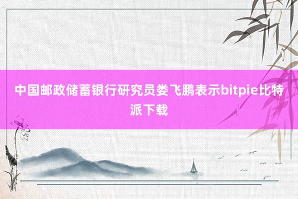 中国邮政储蓄银行研究员娄飞鹏表示bitpie比特派下载