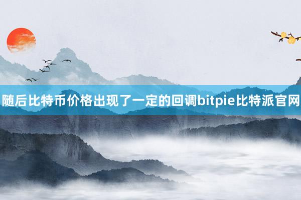 随后比特币价格出现了一定的回调bitpie比特派官网