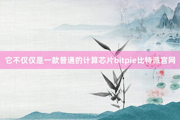 它不仅仅是一款普通的计算芯片bitpie比特派官网