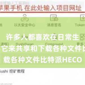 许多人都喜欢在日常生活中使用它来共享和下载各种文件比特派HECO