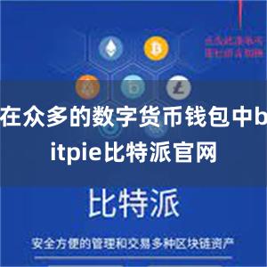 在众多的数字货币钱包中bitpie比特派官网