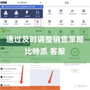 通过及时调整销售策略比特派 客服