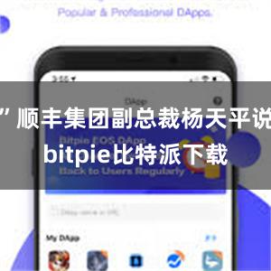 ”顺丰集团副总裁杨天平说bitpie比特派下载