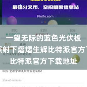 一望无际的蓝色光伏板在阳光照射下熠熠生辉比特派官方下载地址