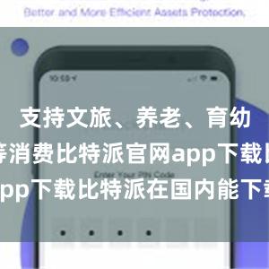 即智能网联车、智能家居等比特派two，bitepai.com