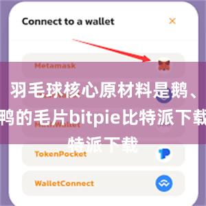 羽毛球核心原材料是鹅、鸭的毛片bitpie比特派下载