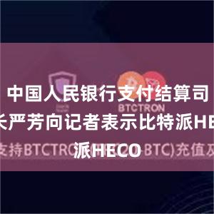 中国人民银行支付结算司司长严芳向记者表示比特派HECO